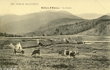 Ballon d'Alsace - La Ferme